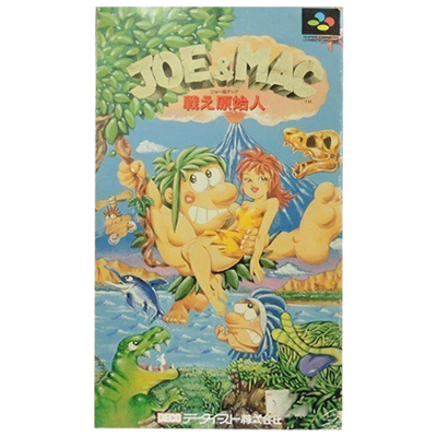 JOE&MAC 戦え原始人 スーパーファミコン データイースト