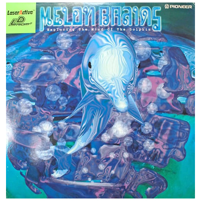 メロンブレイン MELON BRAINS LD-ROM2 パイオニア