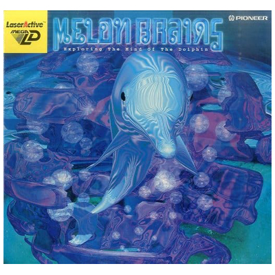 メロンブレイン MELON BRAINS メガLD パイオニア