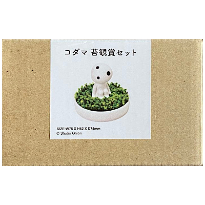 もののけ姫 コダマ 苔鑑賞セット ジブリパーク